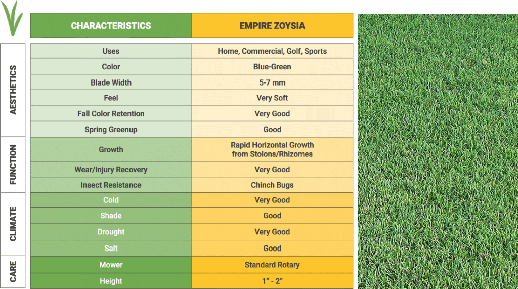 Empire Zoysia Grass - Sodmasters