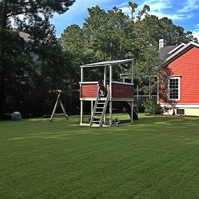 empire zoysia grass