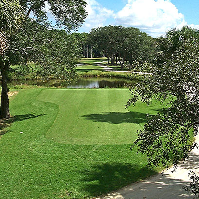 empire zoysia grass