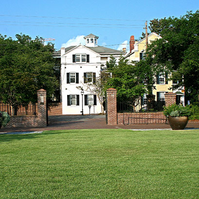 empire zoysia grass