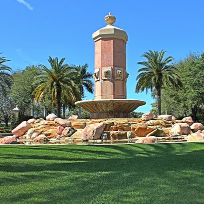 empire zoysia grass