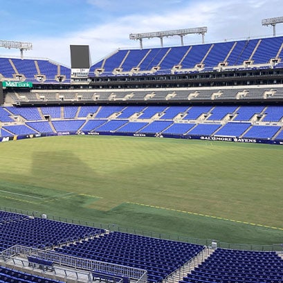 northbridge bermuda grass