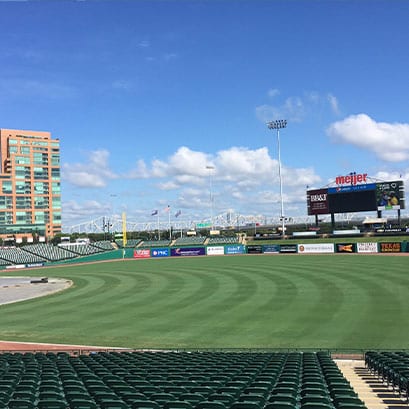 northbridge bermuda grass