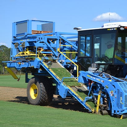 tifway 419 bermuda grass farm