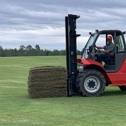 tifway 419 bermuda grass farm