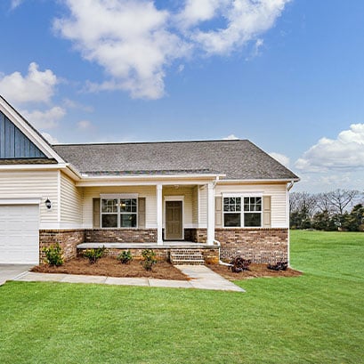 tifway 419 bermuda grass