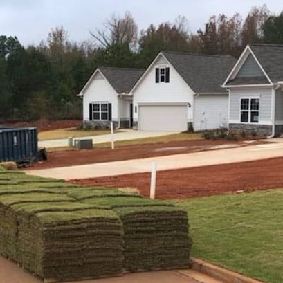 tifway 419 bermuda grass