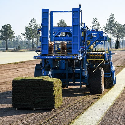 tifway 419 bermuda grass farm