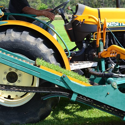 Whitehall centipede sod farm
