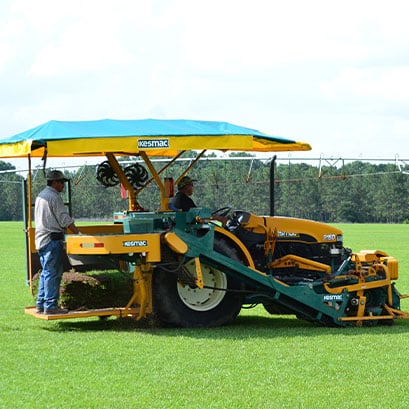 Whitehall centipede sod farm
