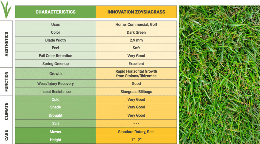 Innovation Zoysia Grass Sodmasters