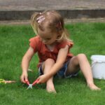 Common Lawn Problems and How to Tackle Them Head-On