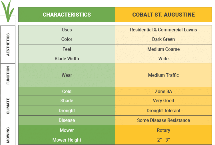 Cobalt St. Augustine Chart